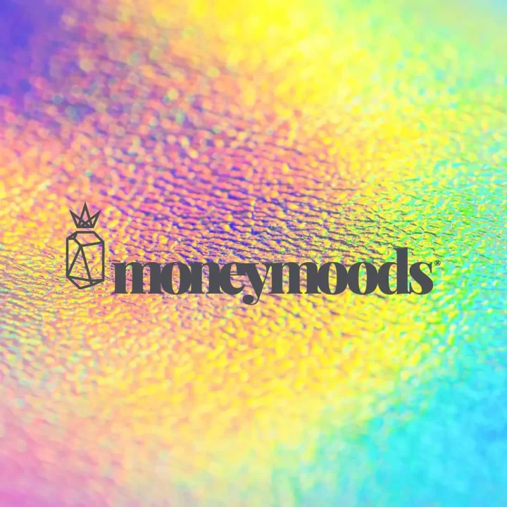 Money Moods Logo